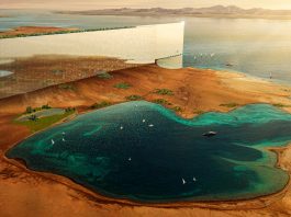 The Rise of NEOM: Saudi Arabia's Vision for the Future
