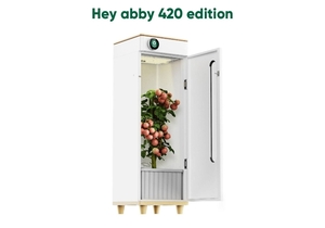 Hey Abby Automated Grow Box 420 Edition Review (2023) 