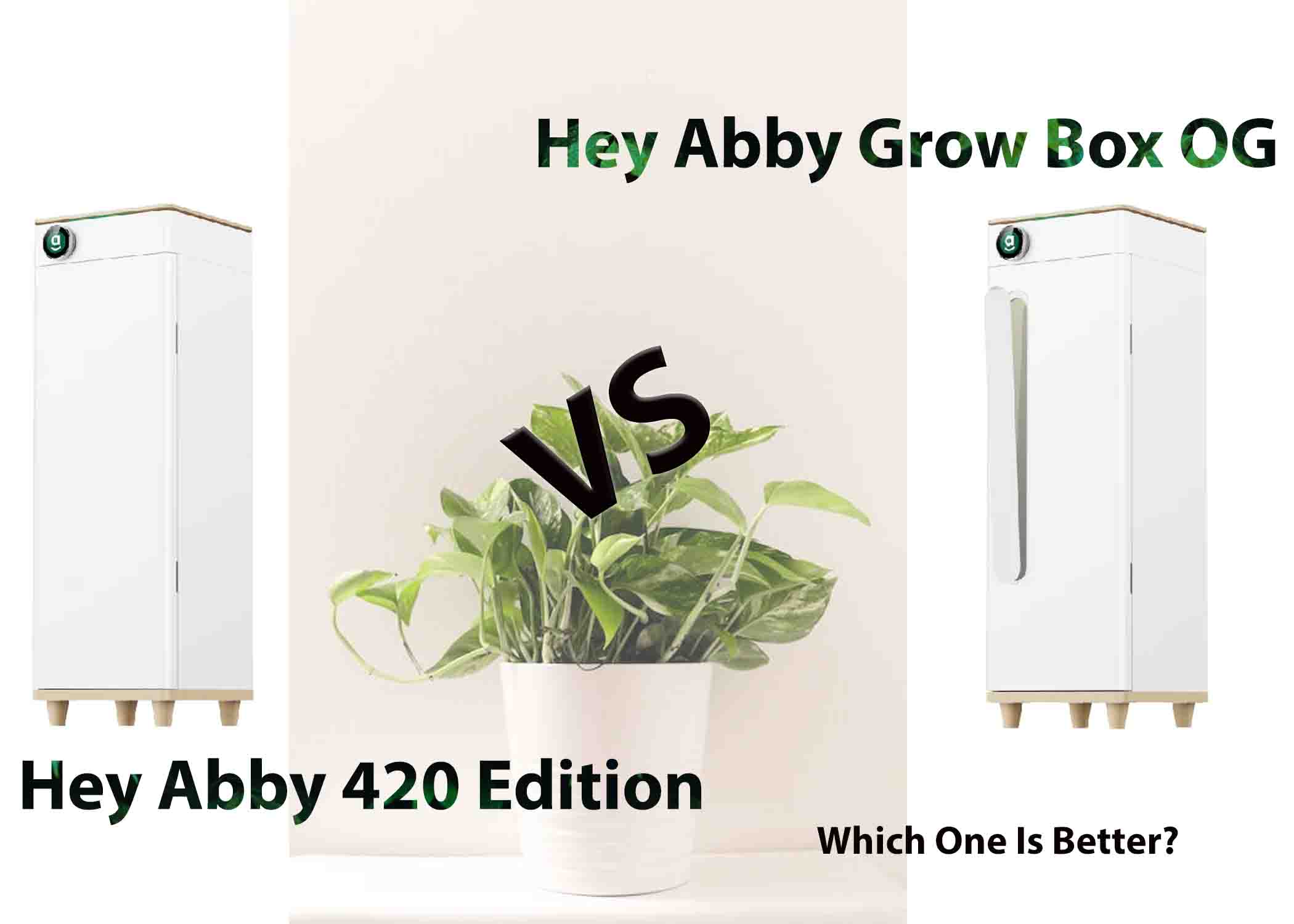 Hey Abby 420 Edition vs. Grow Box OG: Which Is Right for You?