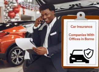 Find the Best Car Insurance Company Office in Borno State