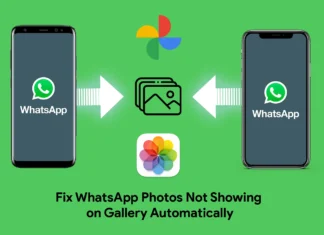 How to Fix WhatsApp Photos Not Showing on Gallery Automatically