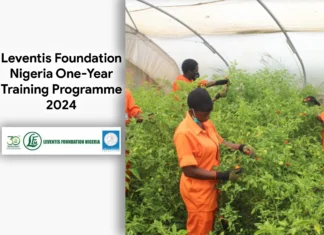 Leventis Foundation Nigeria One-Year Training Programme 2024