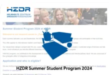 HZDR Summer Student Program 2024: Applications Open Now