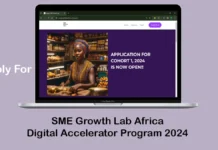 Apply For SME Growth Lab Africa Digital Accelerator Program 2024