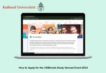 How to Apply for the VSBfonds Study Abroad Grant 2024