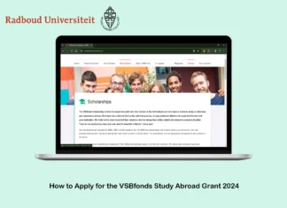 How to Apply for the VSBfonds Study Abroad Grant 2024