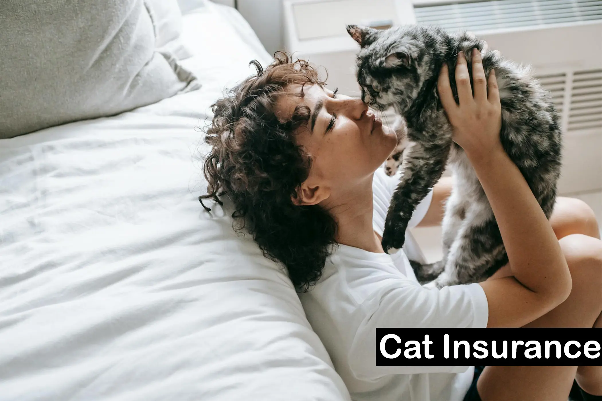 Best Pet Insurance Companies for Cats